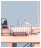 Filename=hq21.jpg
Filesize=579KiB
Dimensions=3000x2013
Date added=Feb 14, 2014 hq21.jpg