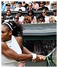 Filename=63.jpg
Filesize=60KiB
Dimensions=512x341
Date added=Jul 10, 2016 63.jpg