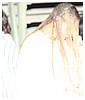 hq04.jpg