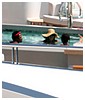 Filename=hq36.jpg
Filesize=282KiB
Dimensions=3000x2000
Date added=Jul 21, 2018 hq36.jpg