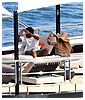 Filename=hq45.jpg
Filesize=518KiB
Dimensions=3000x2000
Date added=Jul 21, 2018 hq45.jpg