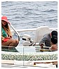 Filename=04.jpg
Filesize=149KiB
Dimensions=962x615
Date added=Jul 25, 2018 04.jpg