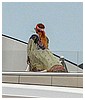 Filename=23.jpg
Filesize=147KiB
Dimensions=962x782
Date added=Jul 24, 2018 23.jpg