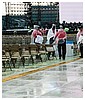 3105.jpg