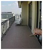 049.JPG