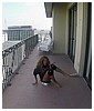 070.JPG