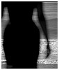 Filename=067.JPG
Filesize=41KiB
Dimensions=640x480
Date added=Aug 16, 2011 067.JPG