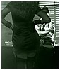 Filename=217.JPG
Filesize=113KiB
Dimensions=1360x768
Date added=Nov 27, 2011 217.JPG