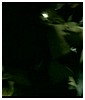 Filename=0125.jpg
Filesize=37KiB
Dimensions=720x540
Date added=Aug 22, 2009 0125.jpg