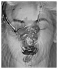 Filename=052.JPG
Filesize=59KiB
Dimensions=853x480
Date added=Dec 26, 2013 052.JPG