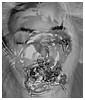 Filename=053.JPG
Filesize=63KiB
Dimensions=853x480
Date added=Dec 26, 2013 053.JPG