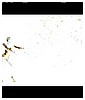Filename=151.jpg
Filesize=26KiB
Dimensions=720x536
Date added=Mar 09, 2010 151.jpg