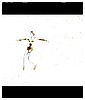 Filename=159.jpg
Filesize=24KiB
Dimensions=720x536
Date added=Mar 09, 2010 159.jpg
