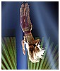 Filename=059.jpg
Filesize=50KiB
Dimensions=420x600
Date added=Jan 16, 2014 059.jpg