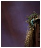 Filename=27.jpg
Filesize=361KiB
Dimensions=1600x1041
Date added=Feb 13, 2017 27.jpg