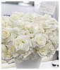 Filename=1824.jpg
Filesize=319KiB
Dimensions=1920x1440
Date added=May 24, 2025 1824.jpg