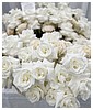 Filename=1825.jpg
Filesize=347KiB
Dimensions=1440x1920
Date added=May 24, 2025 1825.jpg