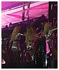 Filename=hq080.JPG
Filesize=968KiB
Dimensions=2592x1944
Date added=Jul 02, 2023 hq080.JPG