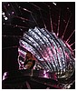 Filename=hq145.JPG
Filesize=900KiB
Dimensions=2592x1944
Date added=Jul 02, 2023 hq145.JPG