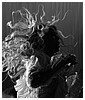 Filename=59.jpg
Filesize=192KiB
Dimensions=717x1069
Date added=May 17, 2016 59.jpg
