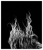 Filename=60.jpg
Filesize=135KiB
Dimensions=713x1069
Date added=May 17, 2016 60.jpg