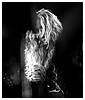 Filename=62.jpg
Filesize=126KiB
Dimensions=713x1069
Date added=May 17, 2016 62.jpg