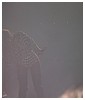 Filename=hq137.JPG
Filesize=954KiB
Dimensions=1944x2592
Date added=Mar 17, 2014 hq137.JPG