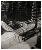0795.jpg